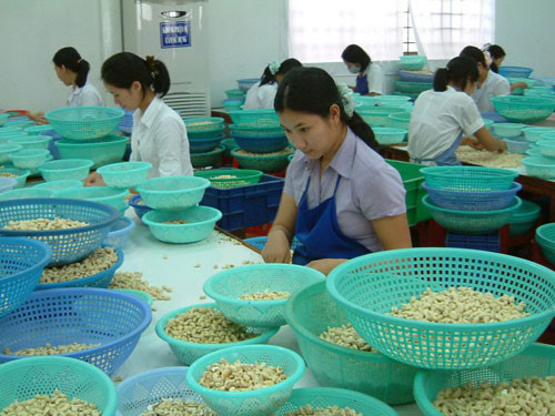 សហគ្រាសវៀតណាមមានឱកាសច្រើនក្នុងការជ្រាតចូលទីផ្សារអ៊ូស្ត្រាលី